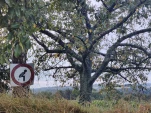 IMG 20230912 081252
