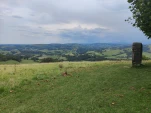 IMG 20230915 145254