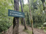 IMG 20230914 094224