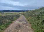 IMG 20230912 081350
