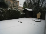 IMG 0729