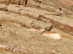 IMG 20230428 123827