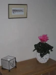 IMG 0734