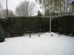IMG 0732