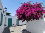 IMG 20230426 143246