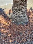 IMG 20230423 132726