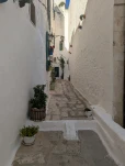PXL 20250602 154649802
