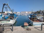PXL 20250607 143514850
