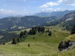 PXL 20260714 105415215