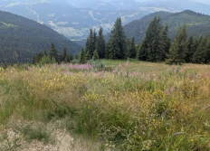 2026 07 Praz-sur-Arly