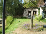 IMG 0465