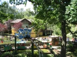 IMG 0448