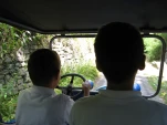 IMG 0459