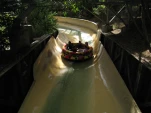 IMG 0474