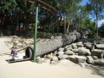 IMG 0429
