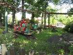 IMG 0437