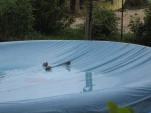 IMG 0843