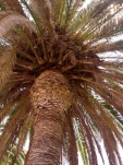 IMG 20130724 131557