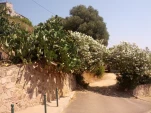 IMG 20130725 112402