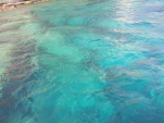 IMG 20130723 164508