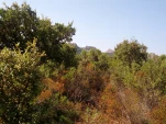 IMG 20130724 105637