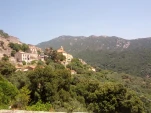 IMG 20130727 130816