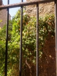 IMG 20130726 114516