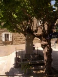 IMG 20130727 133658