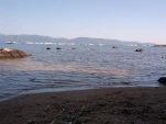 IMG 20130727 173138