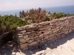 IMG 20130723 124355
