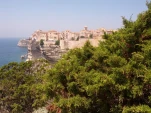 IMG 20130723 125027