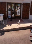 IMG 20130723 152108