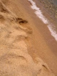 IMG 20130727 120807