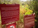 IMG 20130724 112436