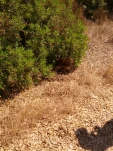 IMG 20130724 113805