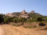 IMG 20130724 111030