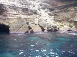 IMG 20130723 173546