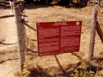 IMG 20130724 111154