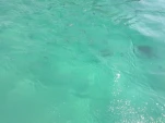 IMG 20130723 172108