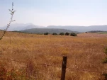 IMG 20130724 114722