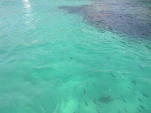 IMG 20130723 172103