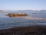 IMG 20130727 173133