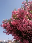 IMG 20130726 115220