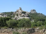 IMG 3078