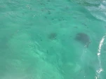 IMG 20130723 172106