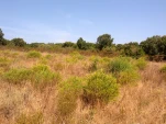 IMG 20130724 113626