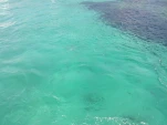 IMG 20130723 172100