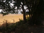 IMG 20130724 105522