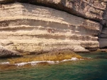 IMG 20130723 164305