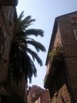 IMG 20130726 114121